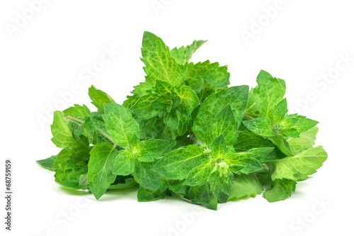 Photo: mint mint