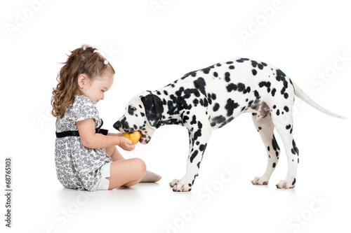 Photo: happy baby girl feeding dog isolated on white happy baby girl feeding dog isolated on white