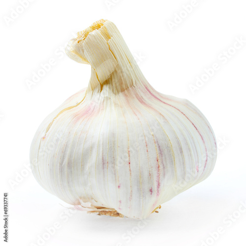 Photo: The Garlic (Allium sativum) on a white background. The Garlic (Allium sativum) on a white background.