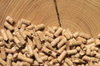 Holzpellets_Stamm Holzpellets_Stamm