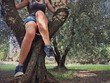 Ragazza seduta su un albero d'ulivo Ragazza seduta su un albero d'ulivo