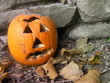 Horror pumking Horror pumking