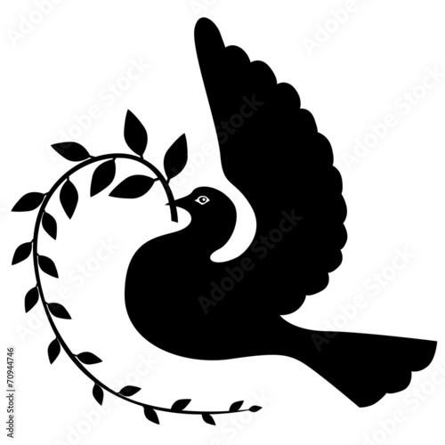 Fototapeta Silhouette dove with branch