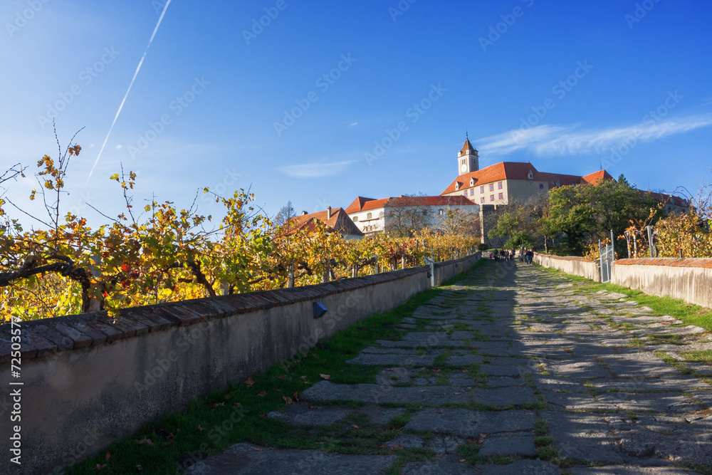 Burganlage mit Weinanbau
