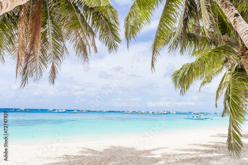  palm trees on tropical beach and sea background, summer vacation