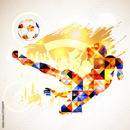 Fototapeta Soccer Concept