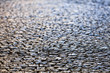 detail of cobblestone path detail of cobblestone path