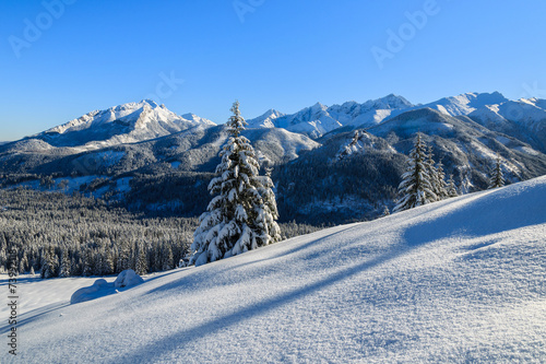 Fototapeta Winter landscape of Rusinowa polana, Tatra Mountains, Poland