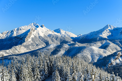 Fototapeta Winter landscape of Rusinowa polana, Tatra Mountains, Poland