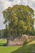 Lucca medieval city walls, Italy Lucca medieval city walls, Italy