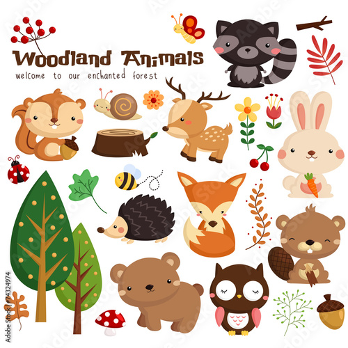 Animal woodland vector set - 74324974