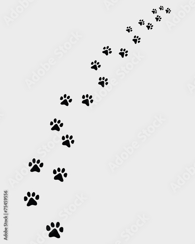 Footprints of cat, turn right-vector illustration