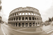 Colosseo antico Colosseo antico