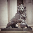 Lion Lion