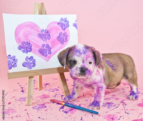 Paw Prints on Your Heart
