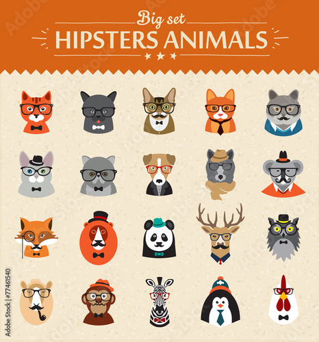 Cute fashion Hipster Animals of vector icons