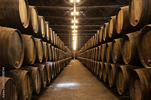  Wine cellar, Porto