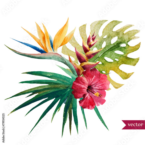 Nice tropical flowers
