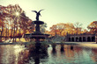 Central Park Autumn Central Park Autumn