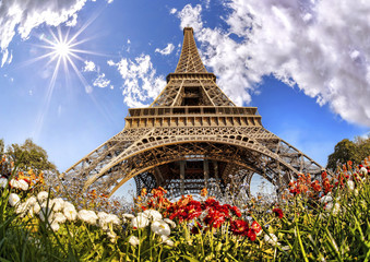 Eiffel Tower with flowers  in Paris, France