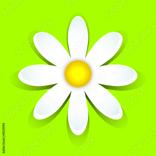 3D-daisy on green - 81301994
