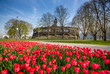 Tulpenmeer am Deutschen Eck Tulpenmeer am Deutschen Eck