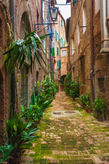 Hidden streets of the ancient city of Siena, Italy
