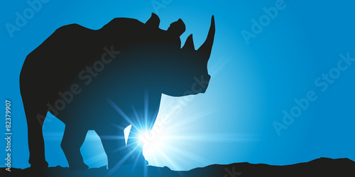 Rhinoceros - 82379907