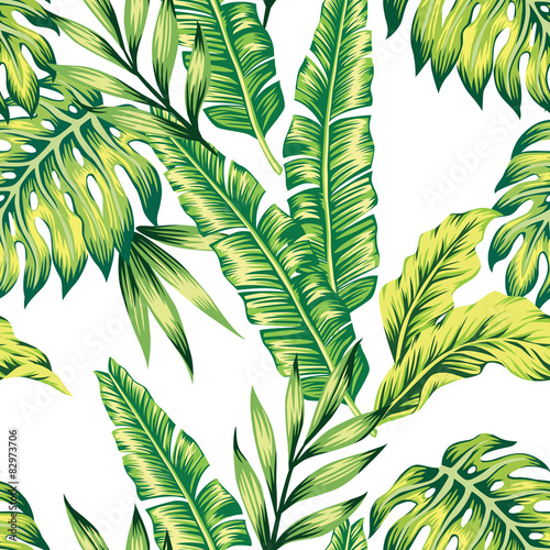  tropical plants seamless background