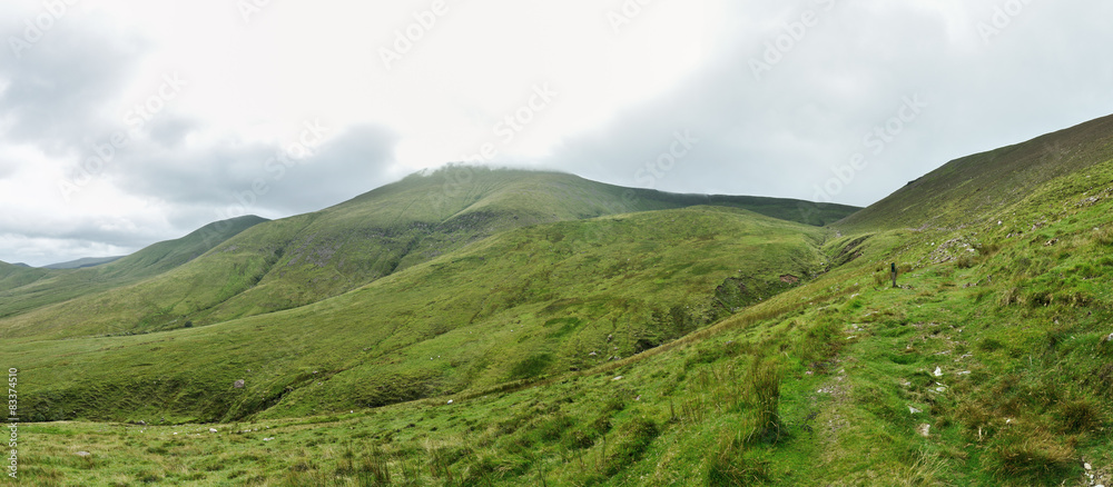 Grünes Irland