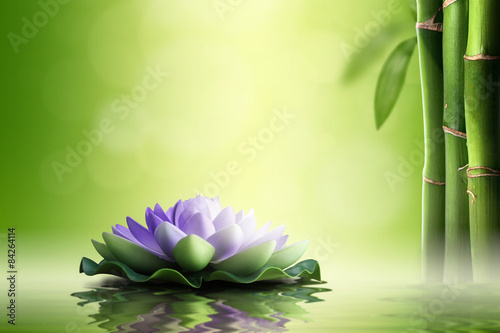  Zen concept. Purple lotus in bamboo forest.