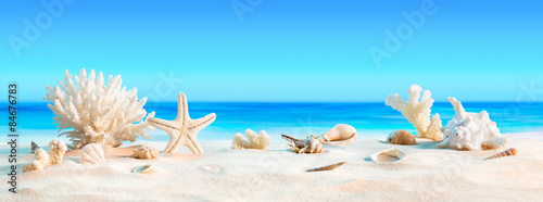 Fototapeta Landscape with seashells on tropical beach - summer holiday