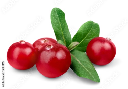 Cranberry, Fruit, Isolated.