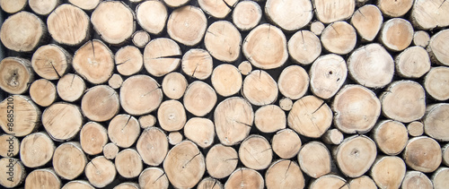 Fototapeta wallpaper wood log