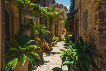 Italian streets overgrown with dense green vegetation in Tuscany