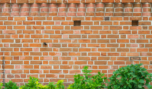 Medieval red brick wall with green leaves in the bottom