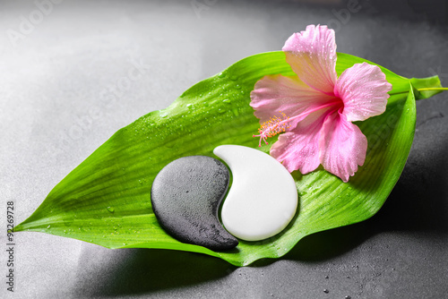 Fotoobraz na płótnie piękna koncepcja spa różowy kwiat hibiskusa i Yin-Yang z ul