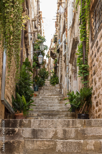 Narrow and empty alley, steps, potted plants and vines at the Old Town in Dubrovnik, Croatia, viewed from below.