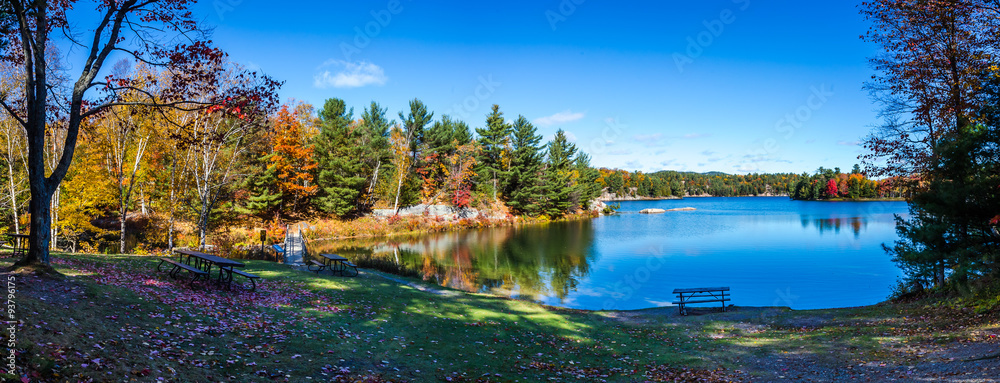 View of colorful trees during Autumn season at Killarney Provincial Park Canada