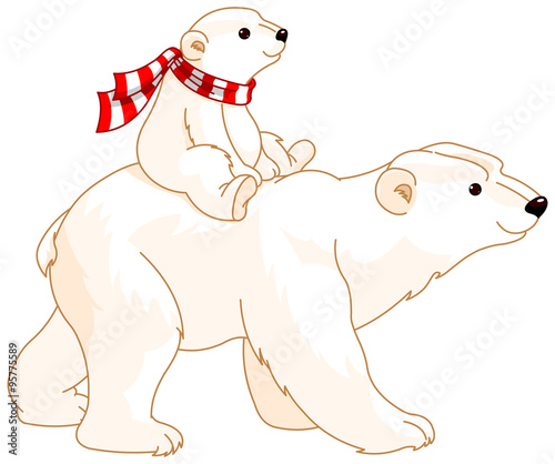 forex polar bear