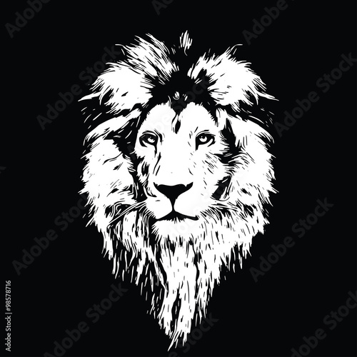 Obraz na płótnie Portrait of a Beautiful lion, lion in the dark