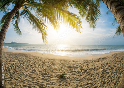 Fototapeta Tropical beach with coconut trees