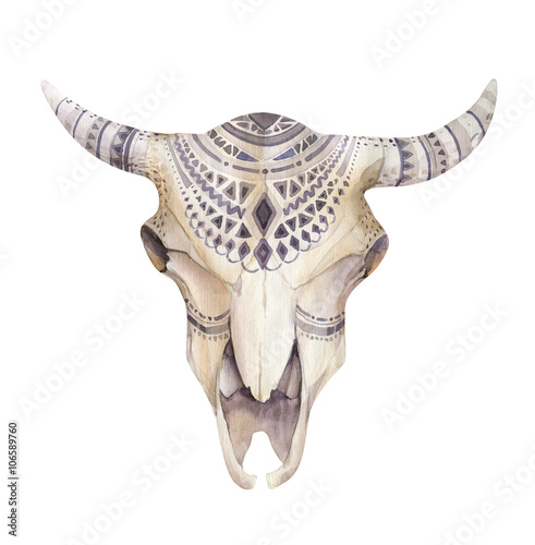 Watercolor cow skull with flowers and feathers. Boho tribal styl