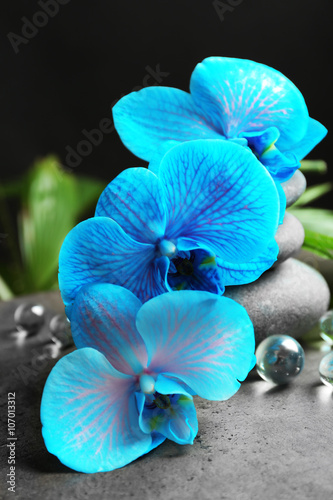 Naklejka na szybę Beautiful spa composition with blue orchid and stones