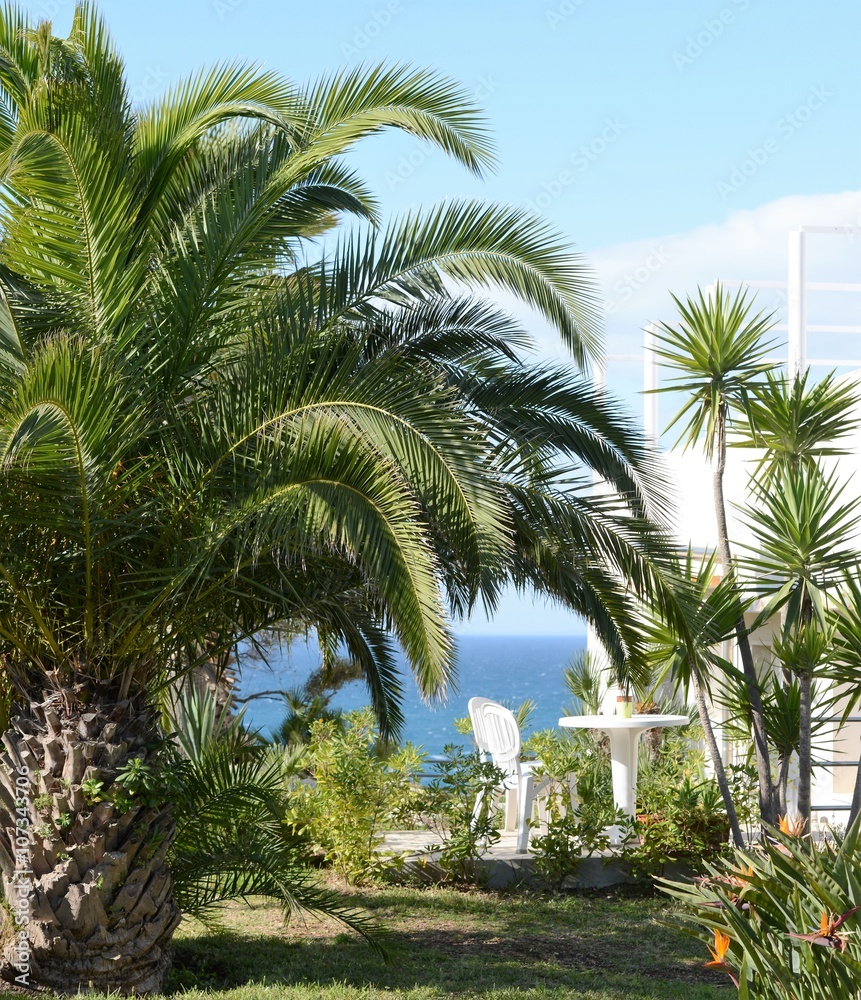 1000_F_107343706_C93CKwPlK396iA8tTWfG1FZhlajBFuWH.jpg