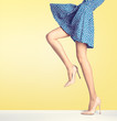 Woman legs in fashion dress and high heels, outfit Woman legs in fashion dress and high heels, outfit