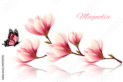 Beautiful magnolia branch with a butterfly. Vector.