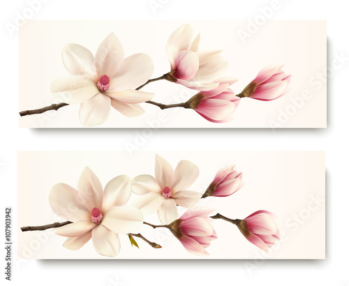 Fototapeta Two magnolia banners. Vector.
