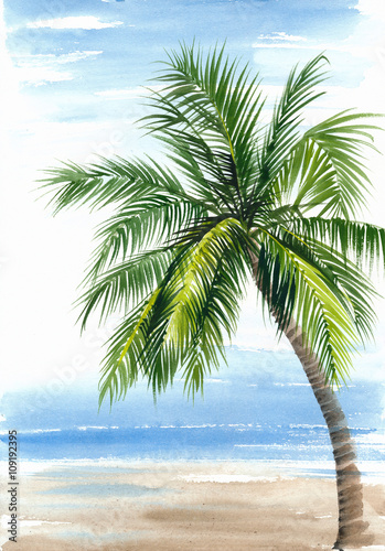 Fototapeta Tropical resort view with the seashore and coconut palm. Original watercolor painting.