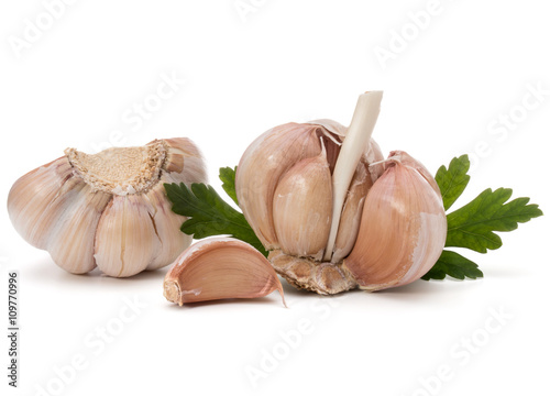 Garlic bulb and parsley herb still life isolated on white backgr
